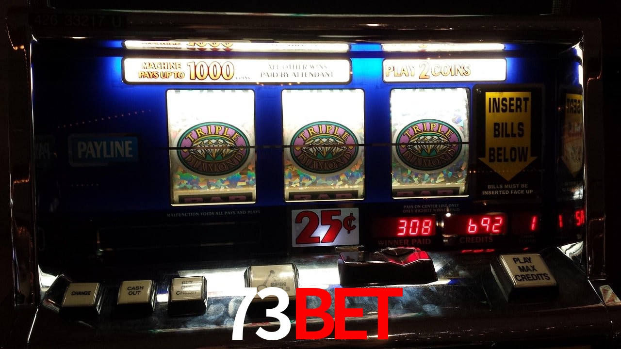 Statistics 73BET